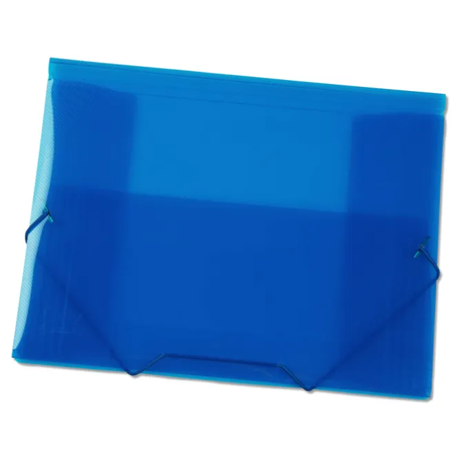 Action Document Case