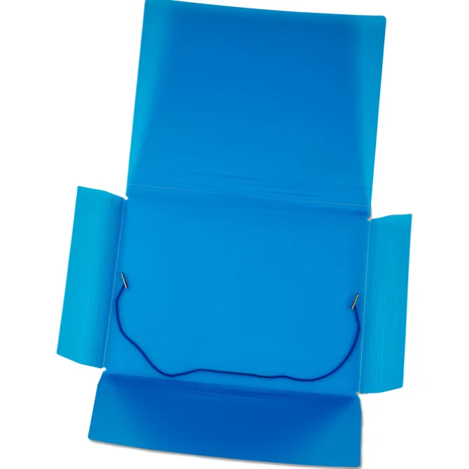 Action Document Case