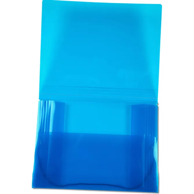 Action Document Case