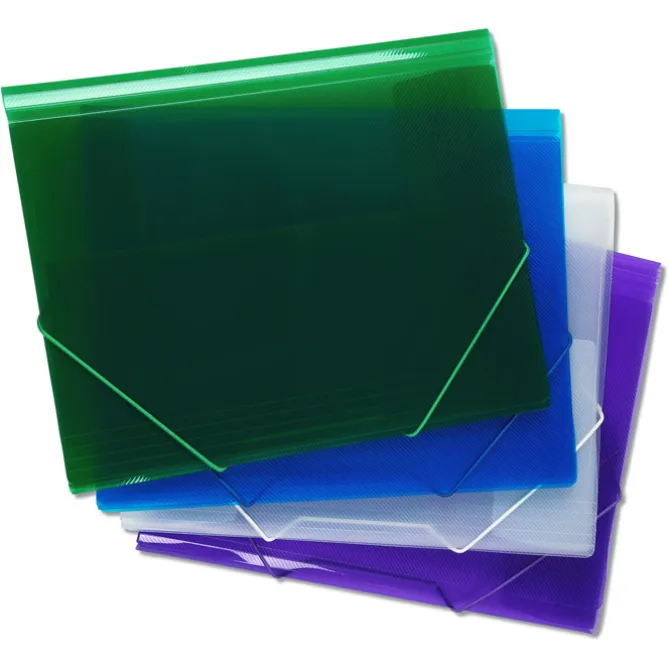 Action Document Case