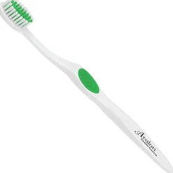 Adult Winter Accent Toothbrush
