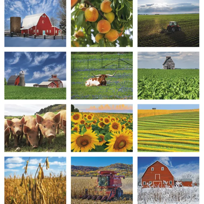 Agriculture Calendar - Stapled