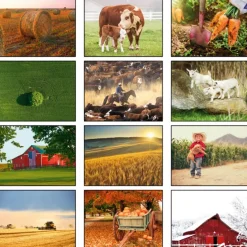 American Agriculture Calendar - Spiral