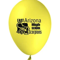 Balloon - 9-inch Standard Colors