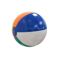 Beach Ball - 24 inches Multicolor Panel