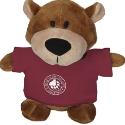 Bean Bag Buddy - Brown Bear