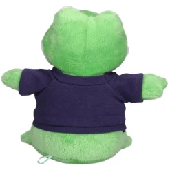 Bean Bag Buddy - Frog