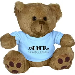 Big Paw Bear - Brown