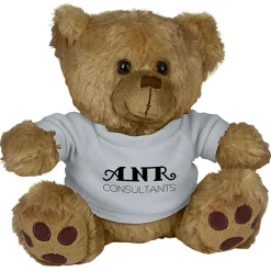 Big Paw Bear - Brown