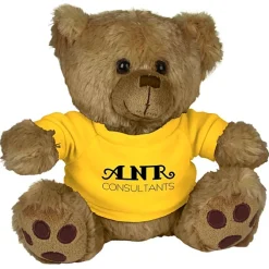Big Paw Bear - Brown - 24 hr