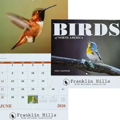 Birds of North America Calendar - Stapled