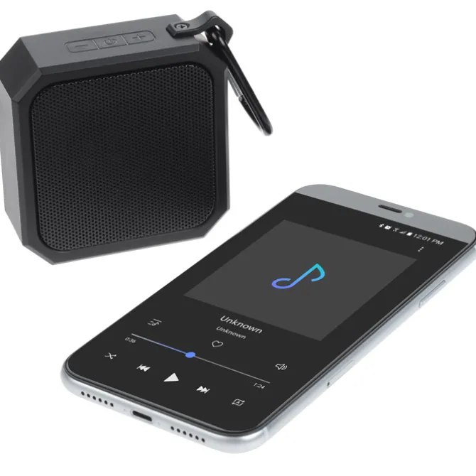 Blackwater Outdoor Bluetooth Speaker