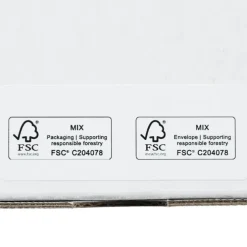 Business Envelope - 4 1/8 inches x 9 1/2 inches - Plain White