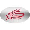 Chrome Sticker - Oval - 2-1/2 inches x 4 inches