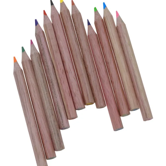 Colored Pencil & Sharpener Set - 24 hr