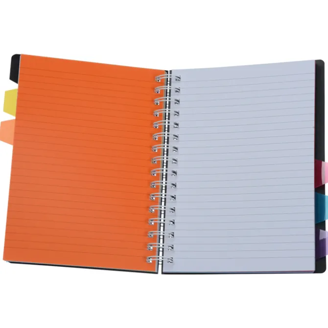 Divided Notebook
