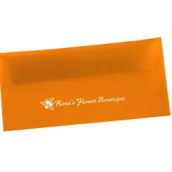 Document Portfolio - 4-7/8 inches x 10 inches - Translucent