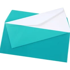 Document Portfolio - 4-7/8 inches x 10 inches - Translucent