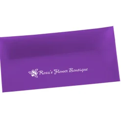 Document Portfolio - 4-7/8 inches x 10 inches - Translucent