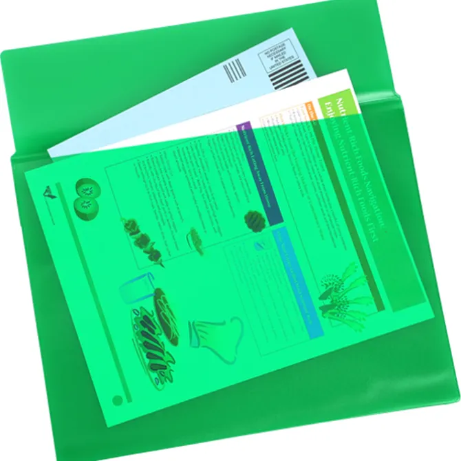Document Portfolio - 10 inches x 13 inches - Translucent