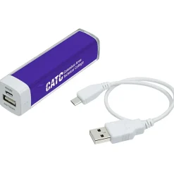 Energize Portable Power Bank - 24 hr