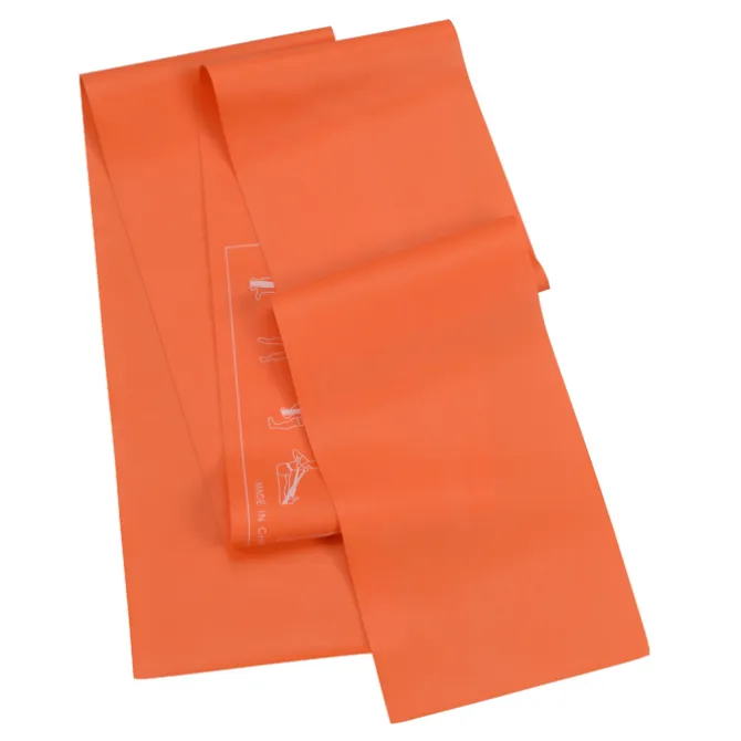 Exercise Stretch Band