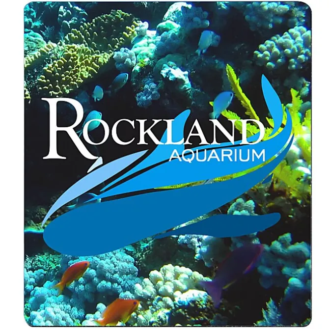 Firm Mouse Pad - 7 1/2 inches x 8 1/2 inches - Rectangle