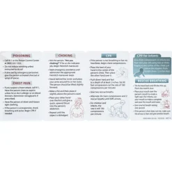 First Aid Key Points