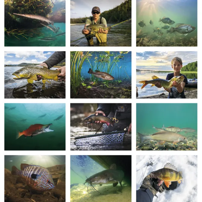 Fishing Calendar - Spiral