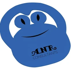 Foam Frog Pop Up Visor