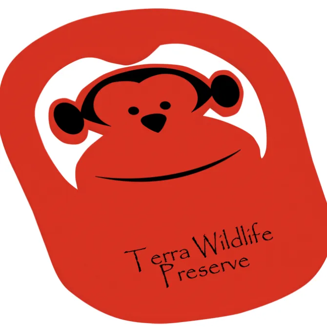 Foam Monkey Pop Up Visor