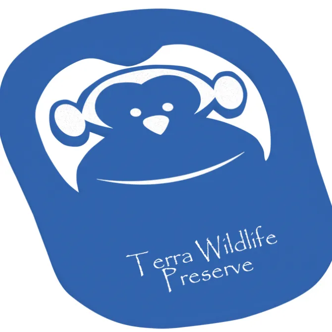 Foam Monkey Pop Up Visor
