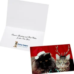 Full Frame Folded Photo Card - 24 hr