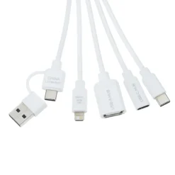 Fusion USB Hub Charging Cable