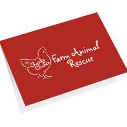 Greeting Card with Gift Card Holder