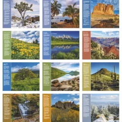 Healthy Living Calendar - Window