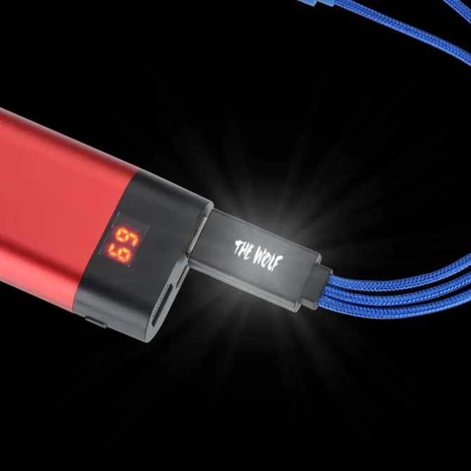 Illuminate Light-Up Logo Charging Cable