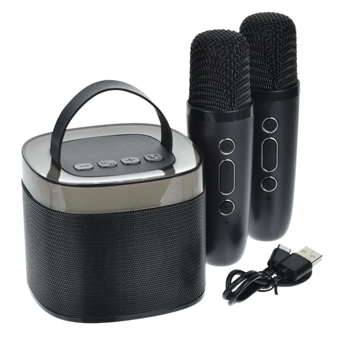 Karaoke Bluetooth Speaker Set