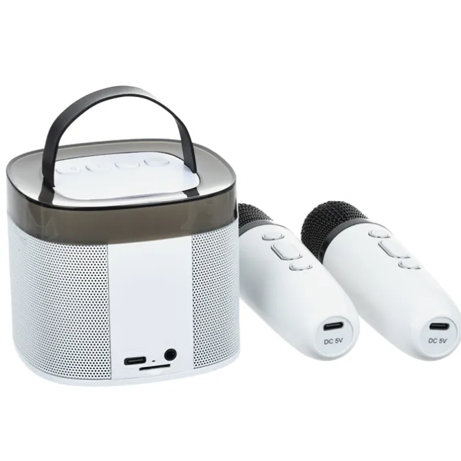 Karaoke Bluetooth Speaker Set
