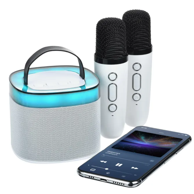Karaoke Bluetooth Speaker Set