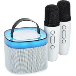 Karaoke Bluetooth Speaker Set