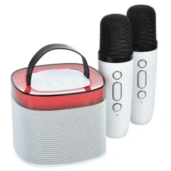 Karaoke Bluetooth Speaker Set