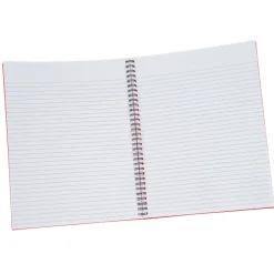 Large Narrow Ruled Spiral Notebook