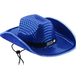 Light-Up Cowboy Hat