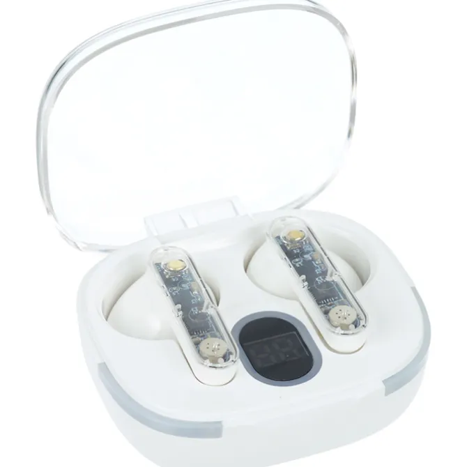 Light-Up Display True Wireless Earbuds