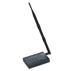 Light-Up Foam Cheer Stick - Remote Controlled