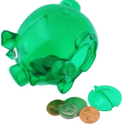 Lil' Piggy Bank - 24 Hr