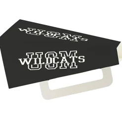 Megaphone - Square - 9 inches - Colors
