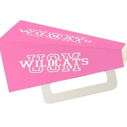 Megaphone - Square - 9 inches - Colors
