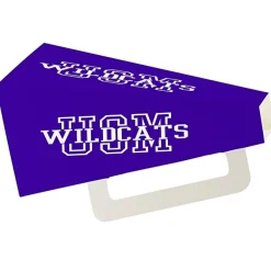 Megaphone - Square - 9 inches - Colors
